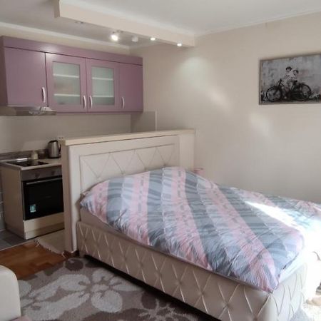 Alex 2 Apartman Vrnjacka Banja Luaran gambar