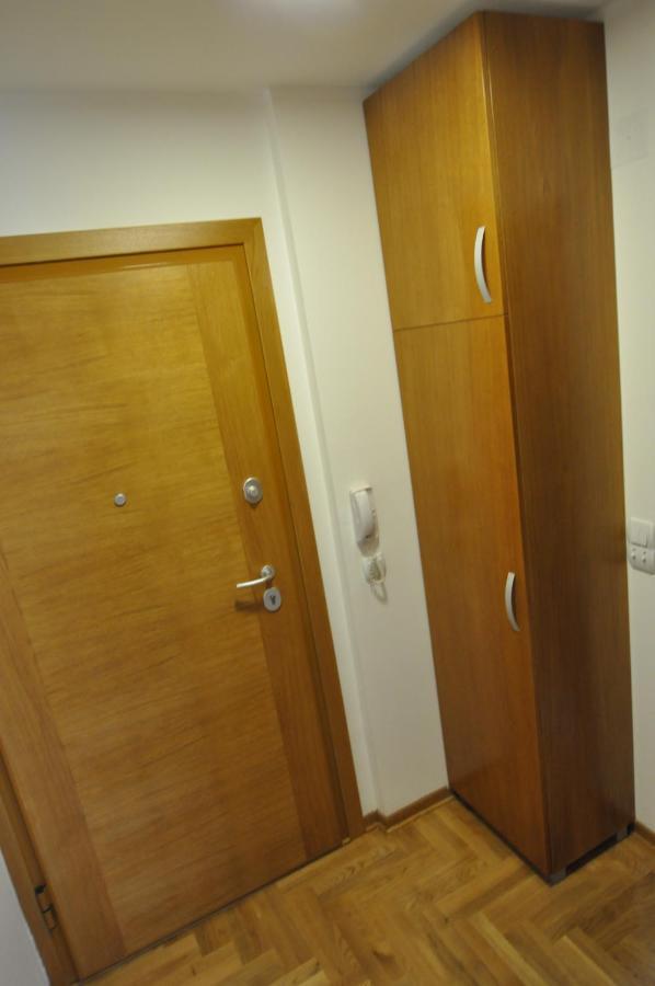 Alex 2 Apartman Vrnjacka Banja Bilik gambar
