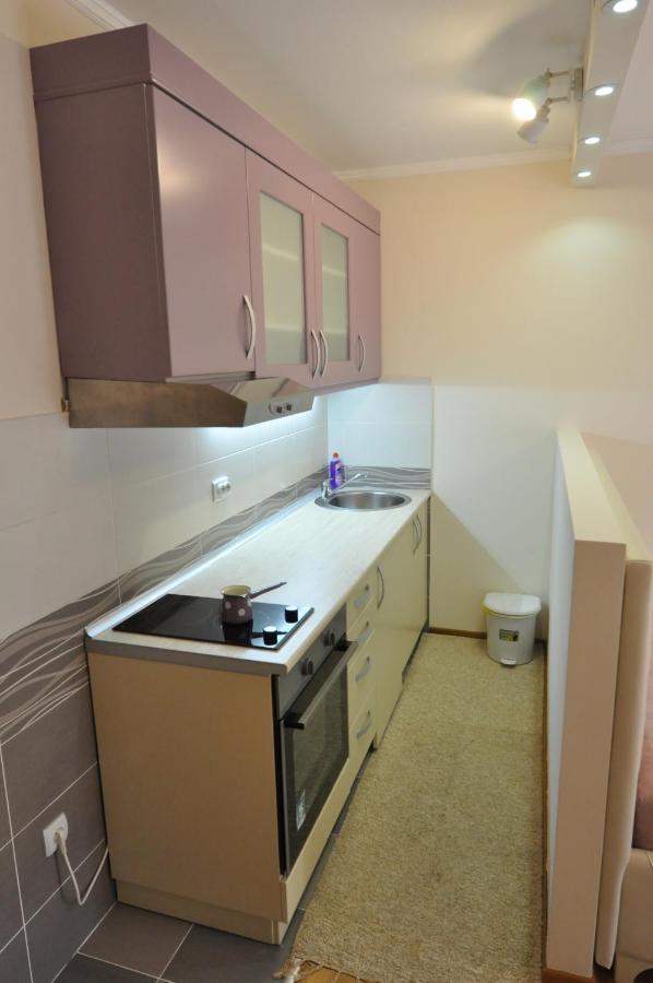 Alex 2 Apartman Vrnjacka Banja Bilik gambar
